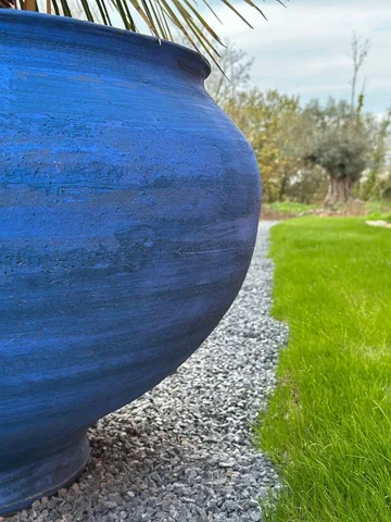 Cotyla bleue plantée dans un jardin — détail 1