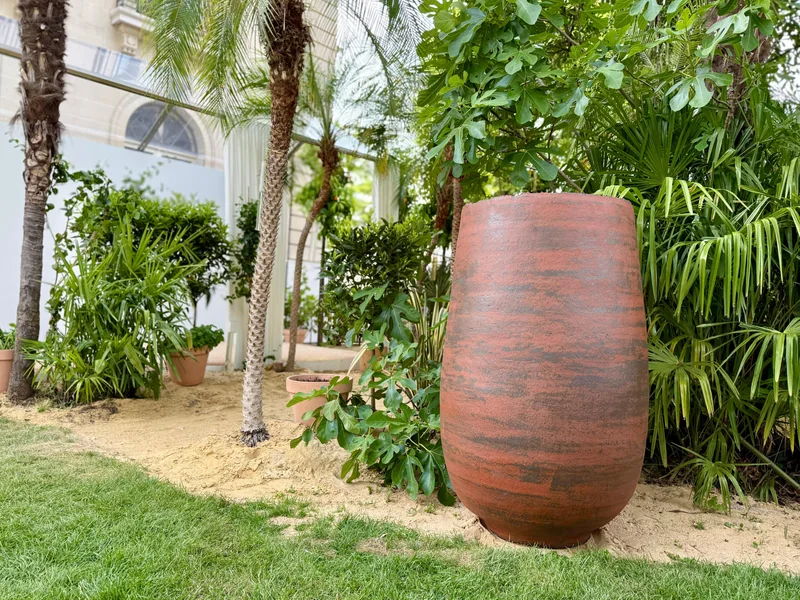 Red STAMNOSA I in a tropical garden